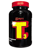 T3