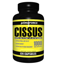 Cissus