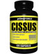Cissus