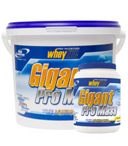 Gigant Pro Mass
