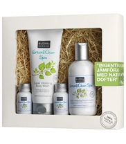 Green & Clean Spa fr�n Bj�rk & Berries. Bj�rk & Berries s�ta presentf�rpackning med naturliga dofter fr�n den svenska naturen.