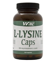 L Lysine