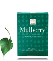 Mulberry, H�lsokost - New Nordic