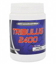 Tribulus 2400