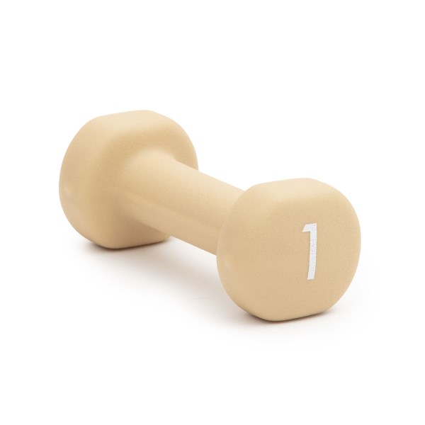 Abilica Dumbbells 1 kg