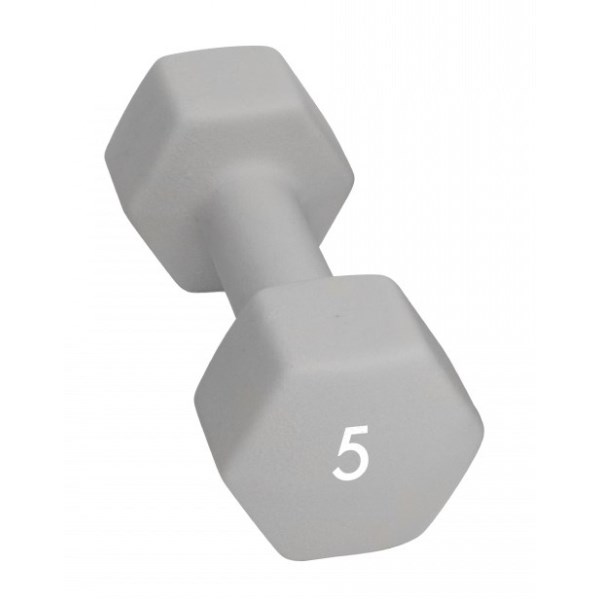 Abilica Dumbbells 5 kg