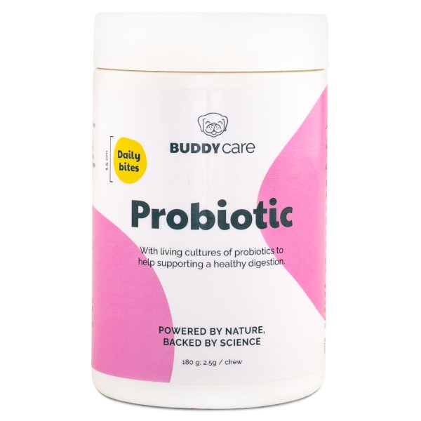 BuddyCare Probiotic 180 g