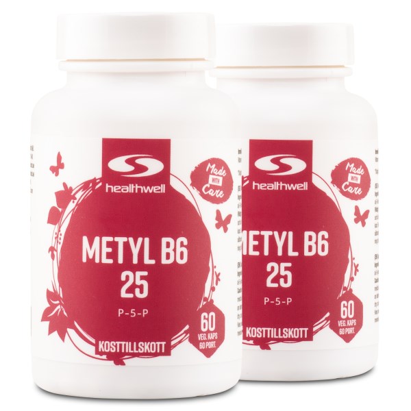 Healthwell Metyl B6 25, 120 kaps