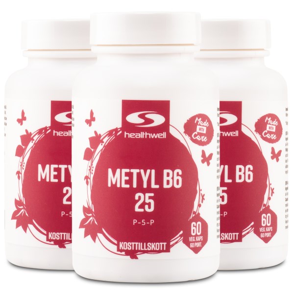 Healthwell Metyl B6 25, 180 kaps