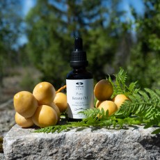 Miniatyr extrabild 1