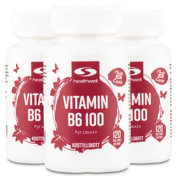 Healthwell Vitamin B6 100, 360 kaps