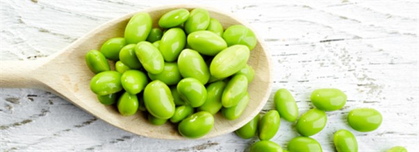 Det hr r lecitin bra fr