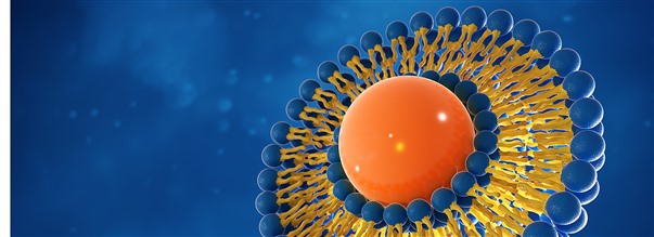 Liposomala kosttillskott