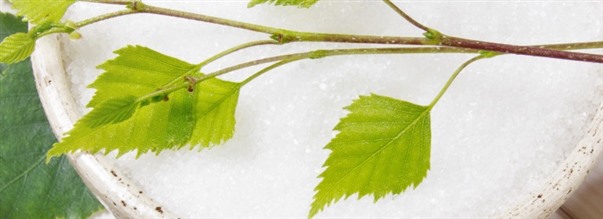 S fungerar naturligt stningsmedel: Bjrksocker och xylitol