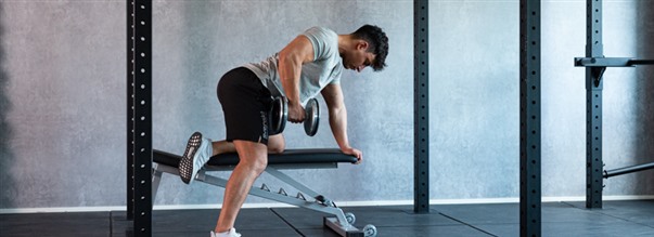 Hantelrodd (dumbbell row)