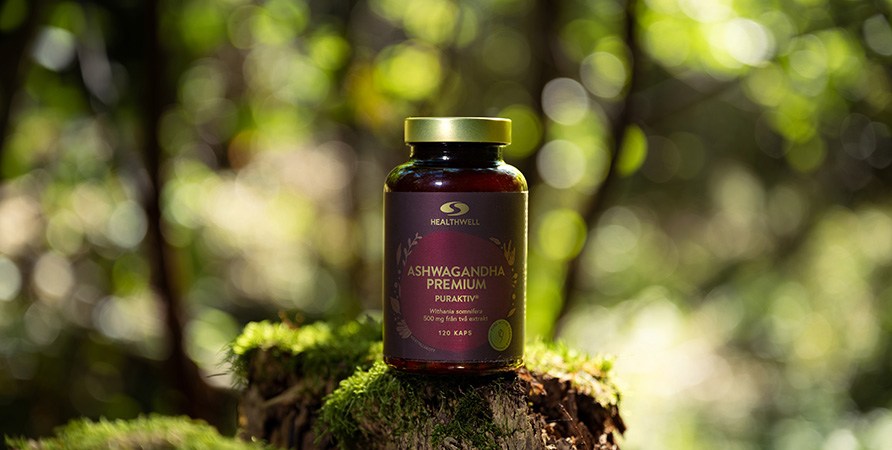 En burk Healthwell Ashwagandha Premium Puraktiv st�r p� en mossig stubbe i en solig skog.