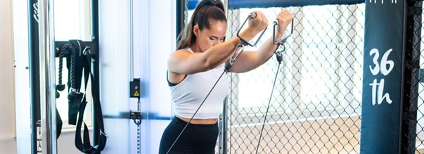 Omvnda kabelflyes (low cable flyes)