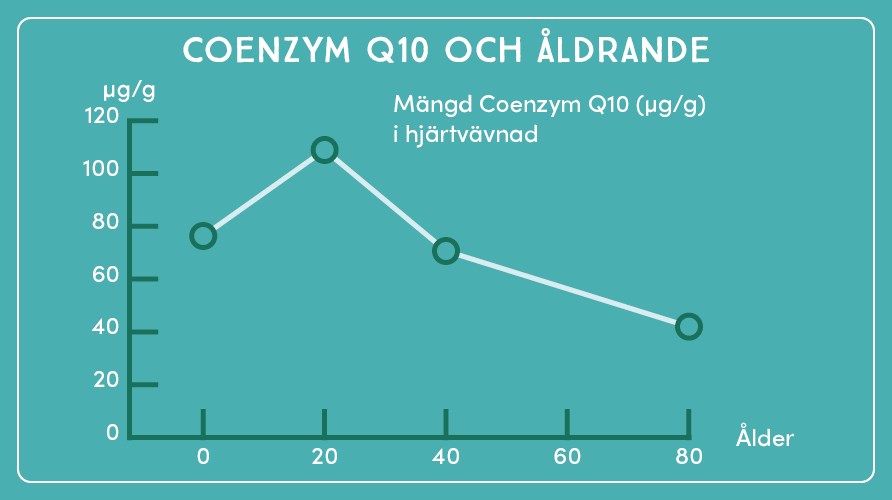 Coenzym Q10-niver i kroppen i olika ldrar. 