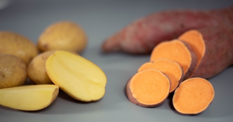 Potatis och s�tpotatis uppskuret.