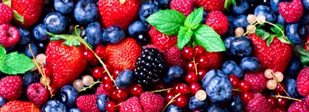 Allt om: Antioxidanter