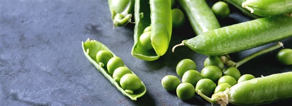 S fungerar rtprotein