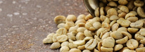 S pverkas kroppen av grna kaffebnor