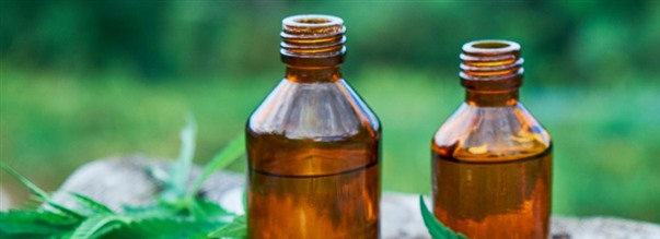 Naturligt protein i kosten: Hampaprotein