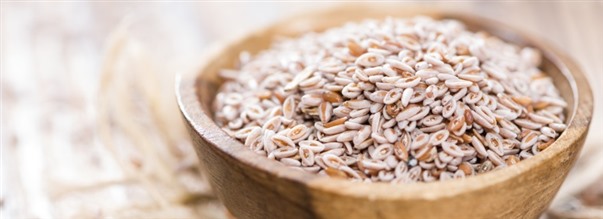 Drfr r psylliumfrn bra fr magen