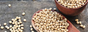 S bra r sojaprotein