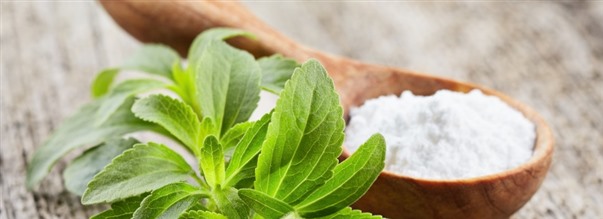 S pverkar stningsmedel kroppen