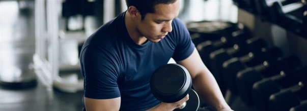 Vad r Tribulus terrestris?