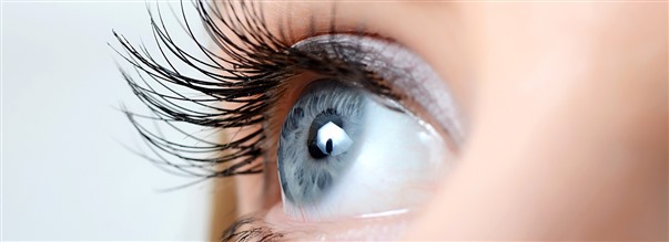 Kosttillskott fr gon och syn