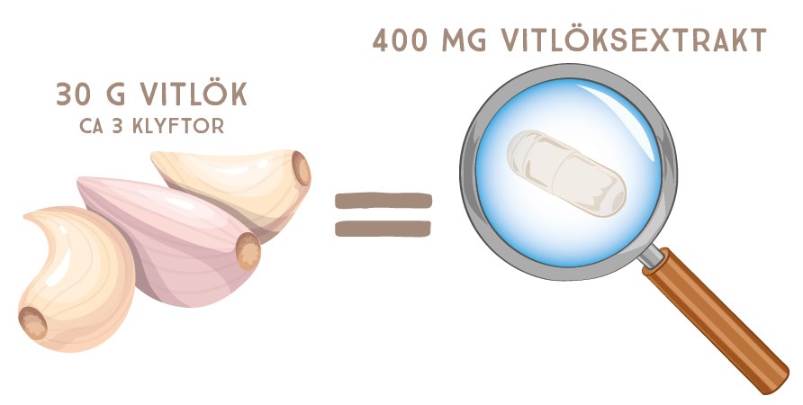 En kapsel Healthwell Vitlk motsvarar ca 3 vitlksklyftor.