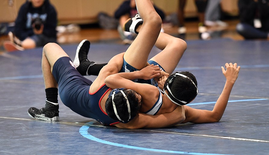 Tv brottare som brottas