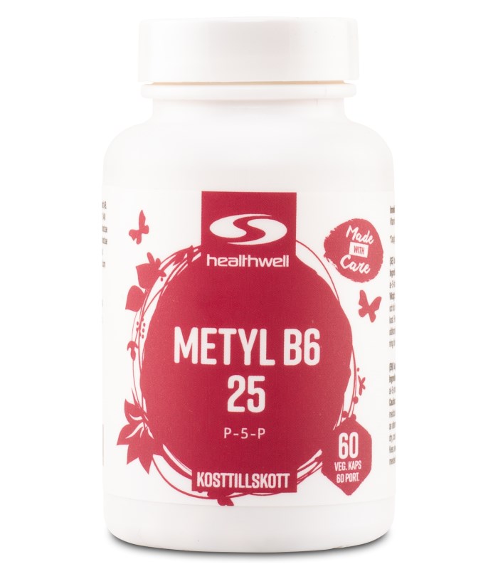 Healthwell Metyl B6 25