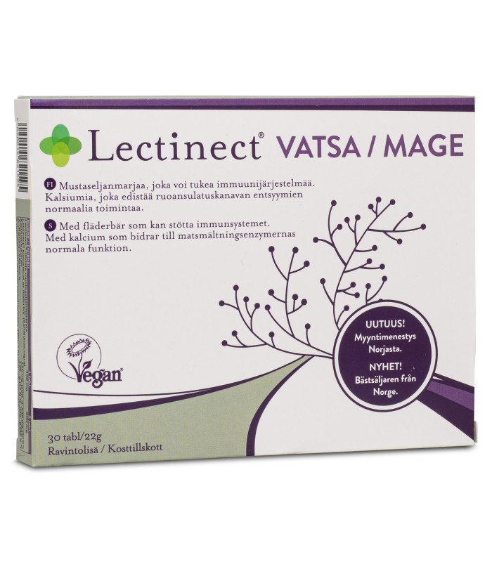 Lectinect Mage